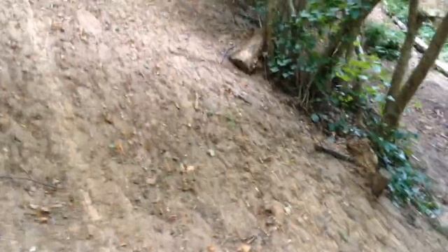 Походный оптимист. Это видео для тебя. С уважением и любовью! смотреть онлайн