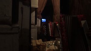 Цыган исполняет на баяне