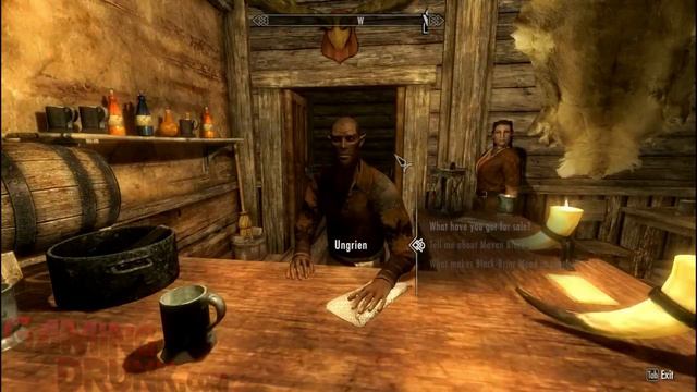 Skyrim - Easy Speech Leveling Glitch - Character Leveling Glitch смотреть онлайн