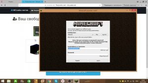 ПРОВЕРЯЕМ САЙТ mcleaks net