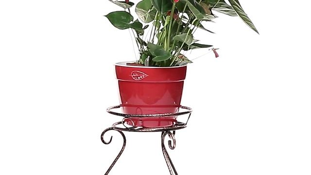 Напольная подставка под цветок смотреть онлайн