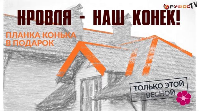 Наши акции: Конёк в подарок смотреть онлайн