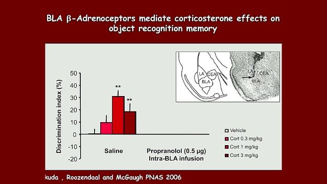 First Annual McGaugh-Gerard Lecture on Learning and Memory смотреть онлайн