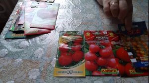 Кистевые супер урожайные томаты. #томаткистевой. #томат.mp4