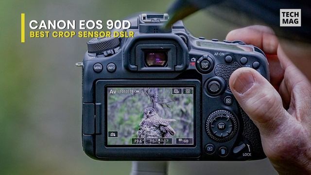 TOP 6: Best DSLR Camera [2022] | From Beginner To Pro! смотреть онлайн