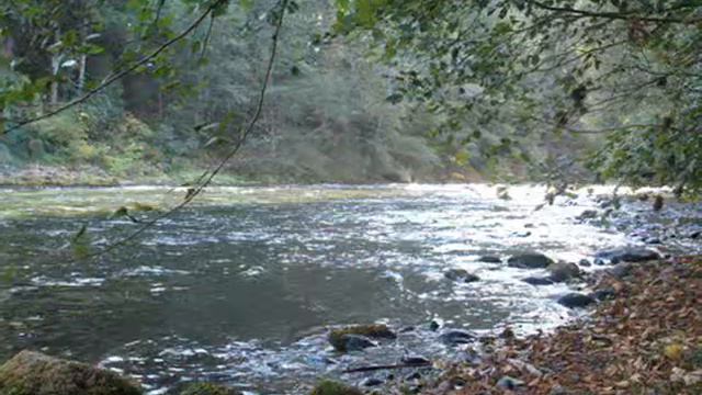 McKenzie River and Beyond смотреть онлайн
