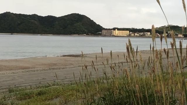 Японское море. спасибо русский смотреть онлайн