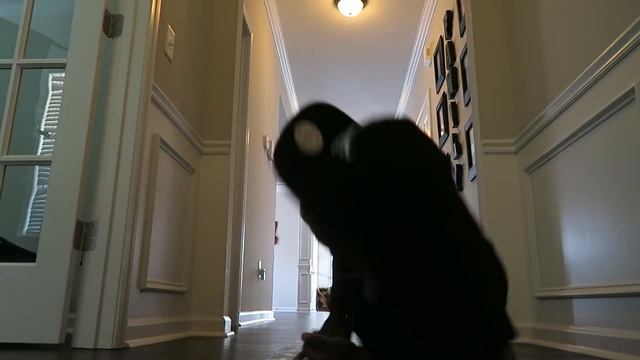 MY 1ST PAIR OF JORDAN SHOES! FLU GAME 12 Ft Mini QJB & Michael Jordan NBA 2k17 Gameplay