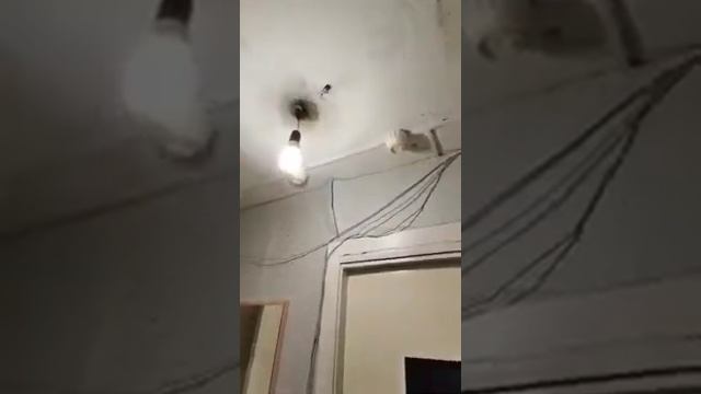 Шок! Общежитие ВолГУ. смотреть онлайн
