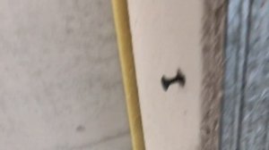 Монтаж перегородки ГВЛ ГКЛ