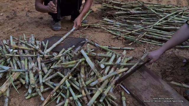 Land Planning, Animal Husbandry, Cultivation, Farm In The Forest, King Kong Amazon, Fp 260