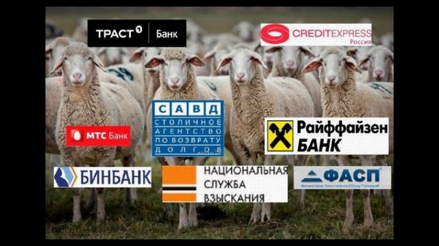 Коллекторы против Дмитрия Алексеевича 4 смотреть онлайн