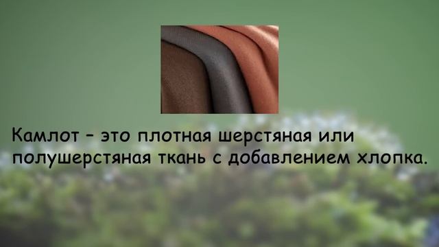 Тест На Эрудицию С Ответами 24 смотреть онлайн