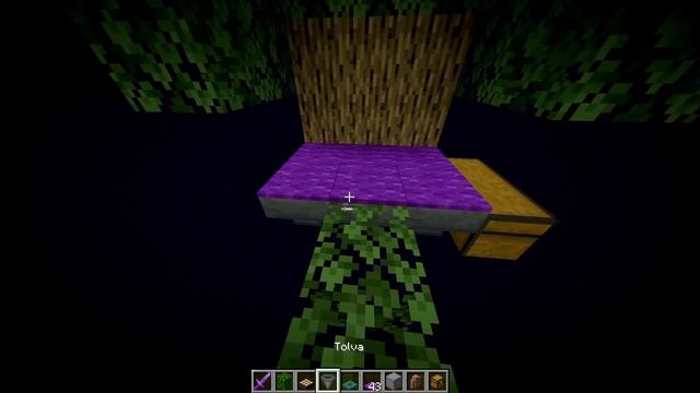 ✅ Minecraft JAVA: Granja De EXPERIENCIA 1.16.2 | Granja de Experiencia y Endermans fácil 1.16.2 ✅ смотреть онлайн