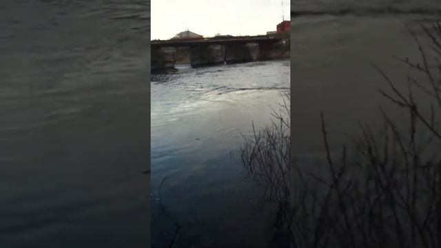 Первая Сёмга и Сход Шонгуй смотреть онлайн