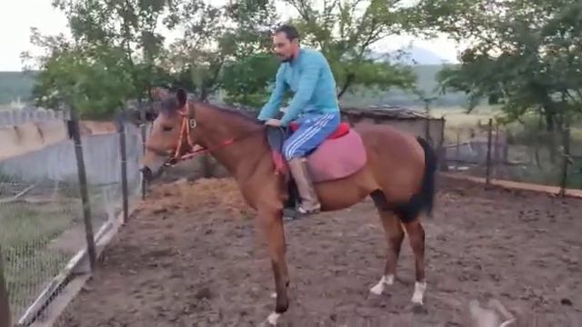 Конный блок смотреть онлайн