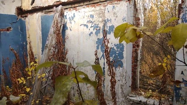 Бывший санаторий "Молтаево" смотреть онлайн