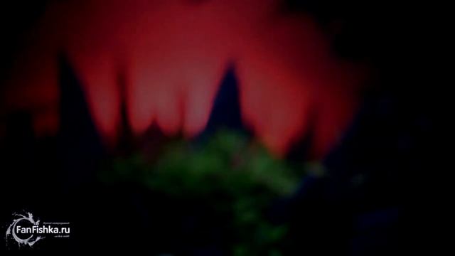 Аквариумные светильники Laguna смотреть онлайн