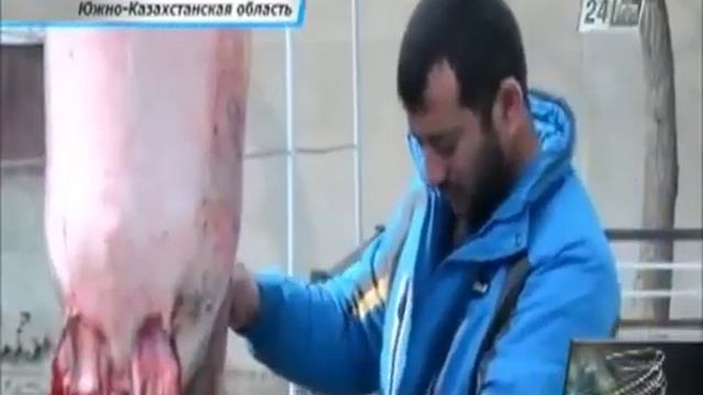 Ловля огромного сома (150кг). смотреть онлайн