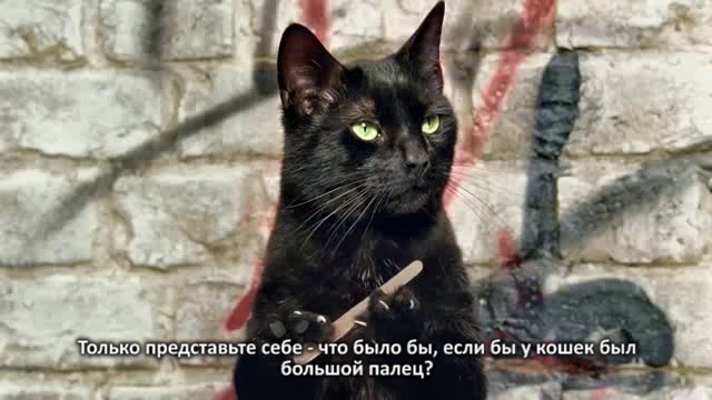 Что было бы, если у кошек были большие пальцы смотреть онлайн