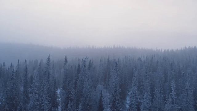 Snowmobile Crossover 2024 Lynx ｜ Commander RE смотреть онлайн