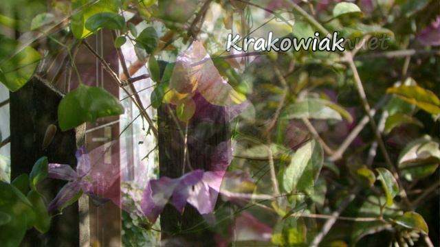 На полях страны. 08.10.2023 смотреть онлайн