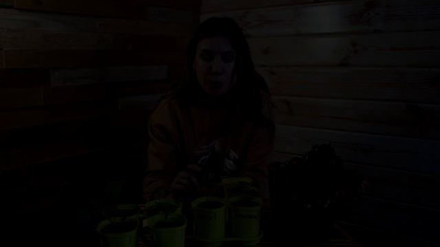 УХОД ЗА РАССАДОЙ ПЕРЦА И БАКЛАЖАН. О ПОЛИВЕ, ПОДКОРМКАХ И ОБРАБОТКЕ. УРОК №5 смотреть онлайн