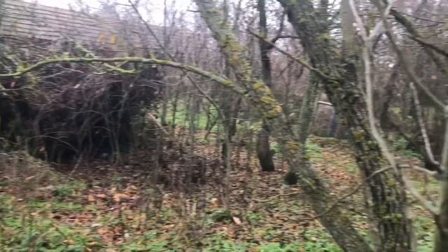 ОБЗОР НЕДВИЖИМОСТИ СТАВРОПОЛЬСКОГО КРАЯ И ДЕРЕВЕНСКИЕ БУДНИ смотреть онлайн