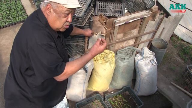 Араван: 60 жаштагы Дилмурат Ахматжанов жубайы экөө 13 жылдан бери гүл өстүрүп келет смотреть онлайн