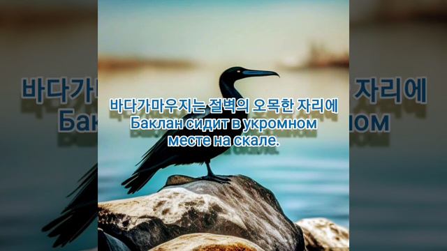 Из #книги о том где живут #животные. #корейскийязык смотреть онлайн