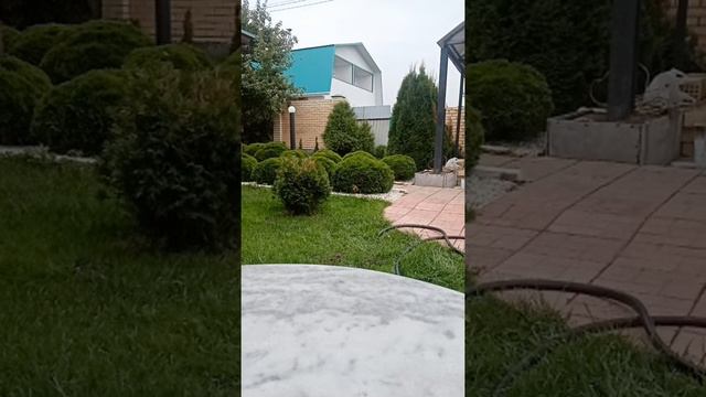 ДОЧА ЧЕЛЯБИНСК ОБЛАСТЬ смотреть онлайн
