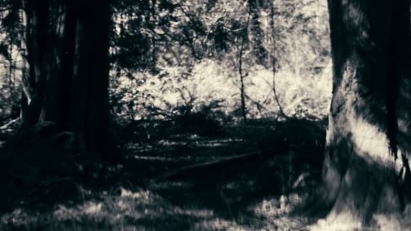 Ted Bundy: The Killer Of A Thousand Faces | World’s Most Evil Killers | Real Crime