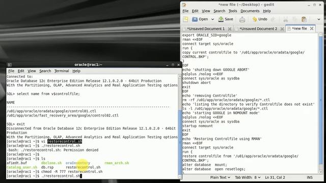 Linux Script to restore controlfile смотреть онлайн