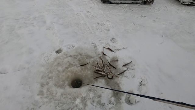 КАРЕЛИЯ!БЕЛОЕ МОРЕ!КОРЮШКА! смотреть онлайн