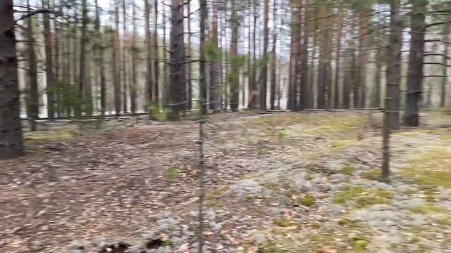 Оформление входной группы. 1 Серия смотреть онлайн