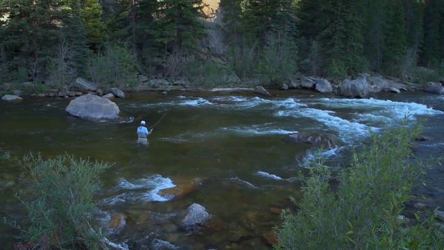 How to Read the Water to Find Trout | Tom Rosenbauer смотреть онлайн