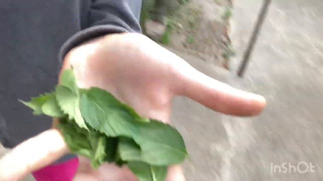 5 Лайфхаков Что делать ЕСЛИ ты ЗАБОЛЕЛ????😷 смотреть онлайн