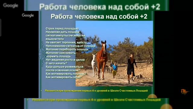 Задачи воспитания и обучения лошадей. Отрывок вебинара "Методика" смотреть онлайн