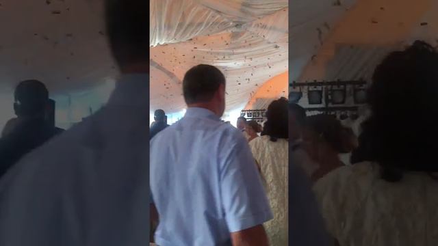 Конфетти машина на свадьбу. смотреть онлайн