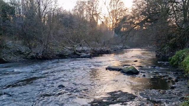 Успокойте свой разум вдоль этого мирного потока смотреть онлайн
