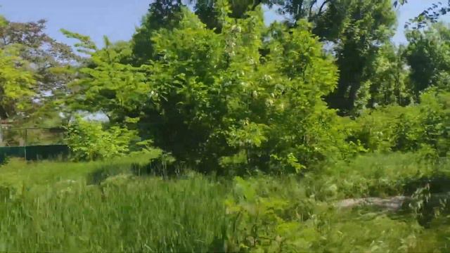 Бердянск 29.05 Детские лагеря. смотреть онлайн