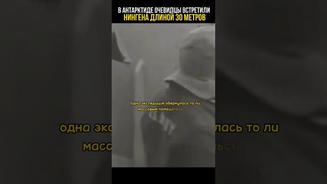 Нингены, монстры из Антарктиды #тайны #невероятныефакты #аномалии смотреть онлайн