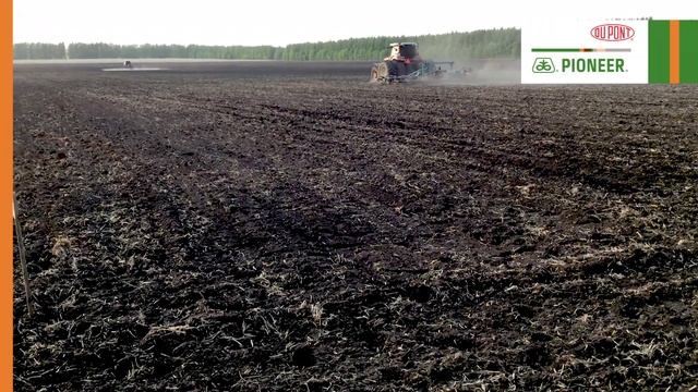 Применение почвенных гербицидов на подсолнечнике смотреть онлайн