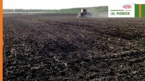 Применение почвенных гербицидов на подсолнечнике