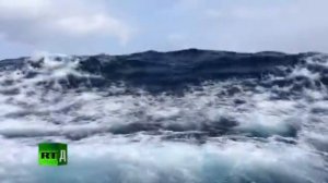 "Человек и пароход" - Российские полярники