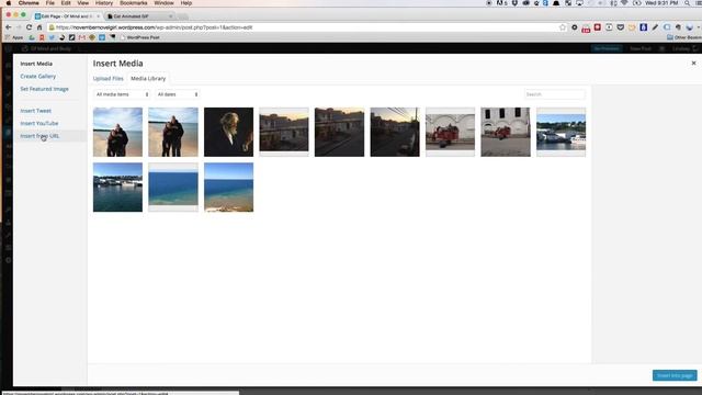 How to add a GIF to a WordPress page or post смотреть онлайн