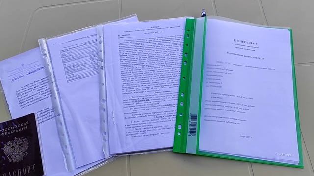 Помощь от государства субсидия на развитие ягодного бизнеса смотреть онлайн