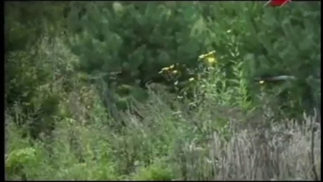 Готовка на Открытом Воздухе