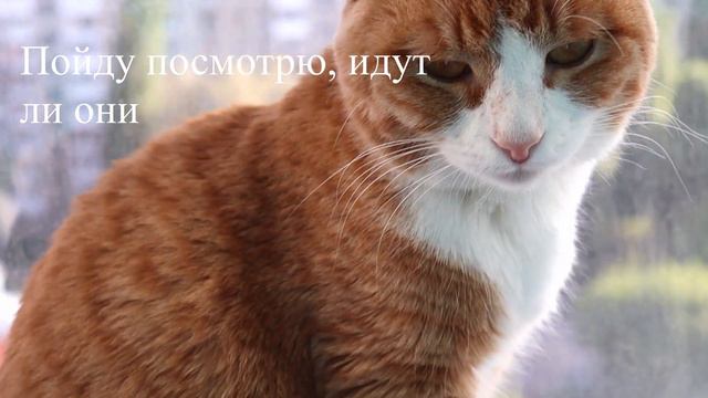 ТАЙНАЯ жизнь домашней Люси 1 смотреть онлайн