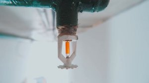 Спринклерная система. Неприятный сюрприз.